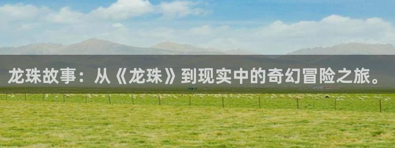 战国basara禁漫天堂漫画：龙珠故事：从《龙珠》到现实中的奇幻冒险之旅。