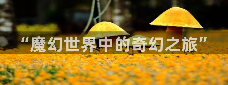 禁漫天堂漫画最新：“魔幻世界中的奇幻之旅”