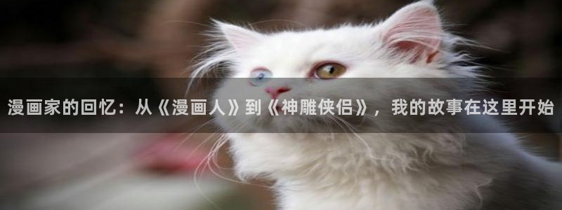 禁漫天堂漫画之：漫画家的回忆：从《漫画人》到《神雕侠侣》，我的故事在这里开始