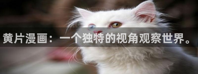 禁漫天堂漫画官方正版官网更新及时：黄片漫画：一个独特的视角观察世界。