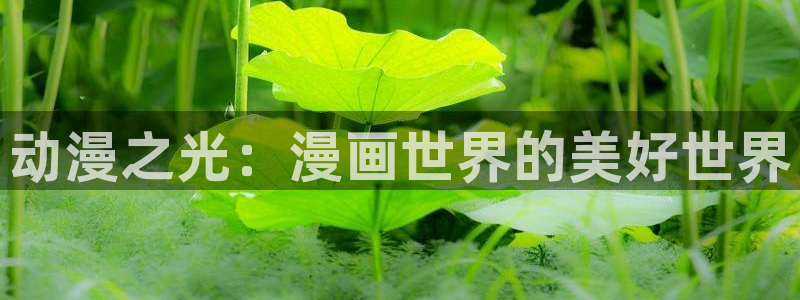 禁漫天堂漫画/：动漫之光：漫画世界的美好世界